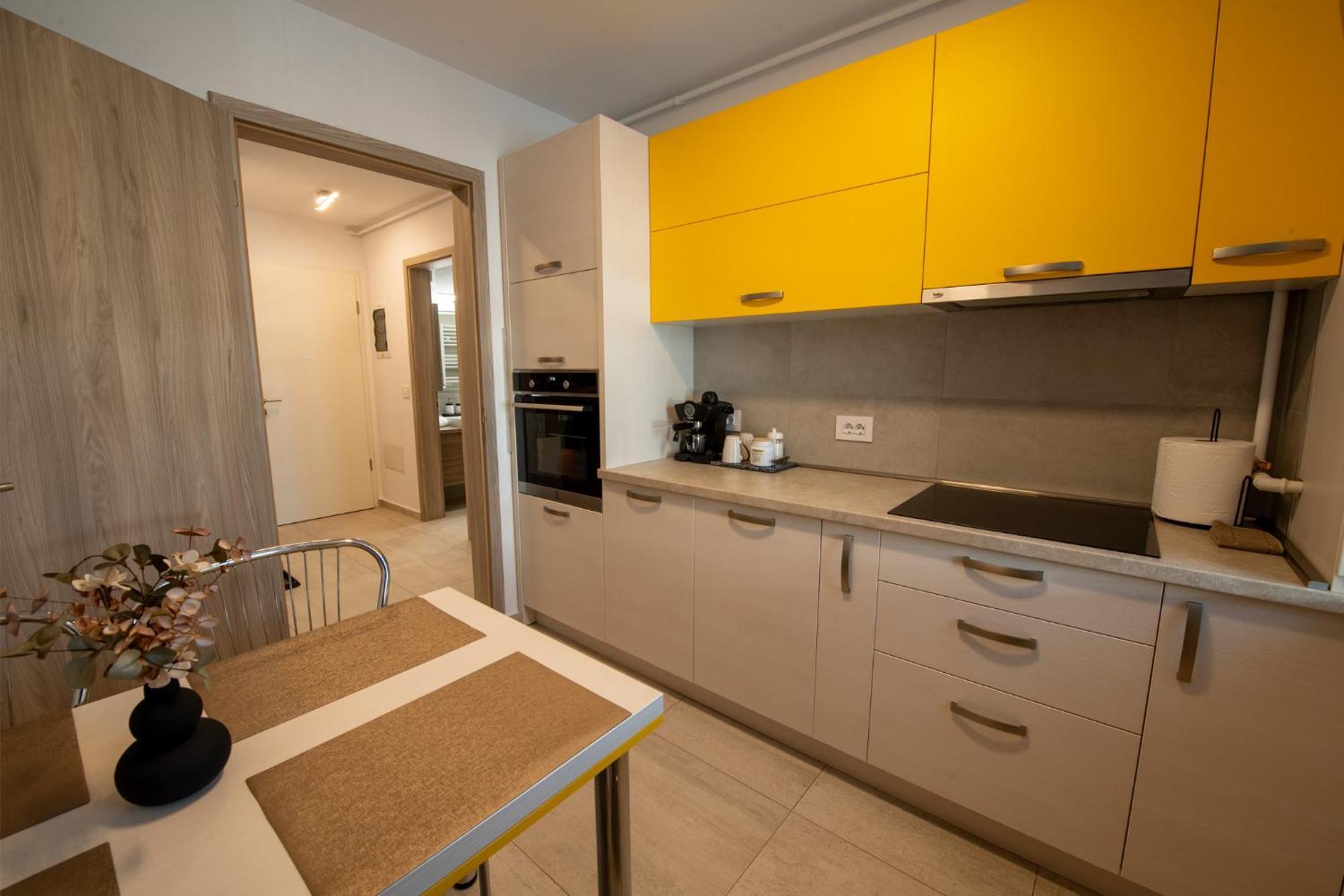 Apartment Coresi Vibe 207